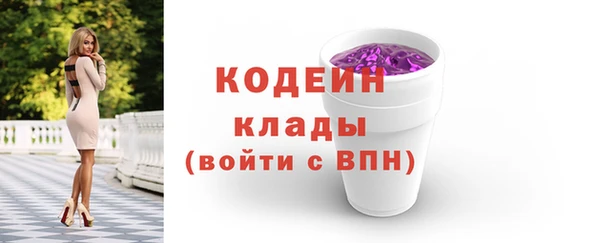 шишки Верея